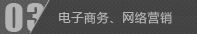 電子商務,網絡營銷